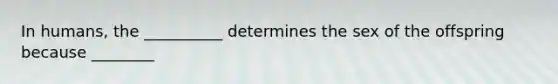 In humans, the __________ determines the sex of the offspring because ________