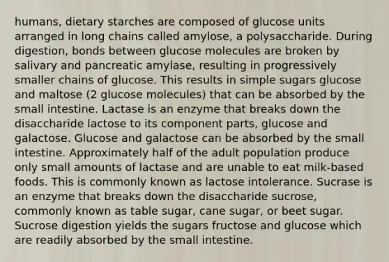 humans, dietary starches are composed of glucose units arranged in long chains called amylose, a polysaccharide. During digestion, bonds between glucose molecules are broken by salivary and pancreatic amylase, resulting in progressively smaller chains of glucose. This results in simple sugars glucose and maltose (2 glucose molecules) that can be absorbed by the small intestine. Lactase is an enzyme that breaks down the disaccharide lactose to its component parts, glucose and galactose. Glucose and galactose can be absorbed by the small intestine. Approximately half of the adult population produce only small amounts of lactase and are unable to eat milk-based foods. This is commonly known as lactose intolerance. Sucrase is an enzyme that breaks down the disaccharide sucrose, commonly known as table sugar, cane sugar, or beet sugar. Sucrose digestion yields the sugars fructose and glucose which are readily absorbed by the small intestine.