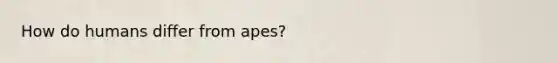 How do humans differ from apes?
