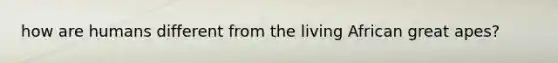 how are humans different from the living African great apes?