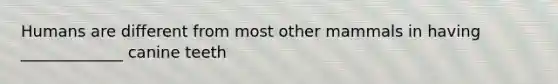 Humans are different from most other mammals in having _____________ canine teeth