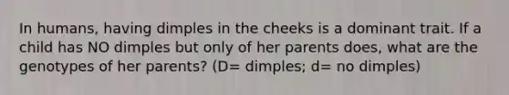 In humans, having dimples in the cheeks is a dominant trait. If a child has NO dimples but only of her parents does, what are the genotypes of her parents? (D= dimples; d= no dimples)