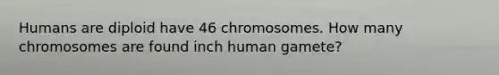 Humans are diploid have 46 chromosomes. How many chromosomes are found inch human gamete?