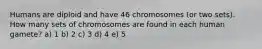 Humans are diploid and have 46 chromosomes (or two sets). How many sets of chromosomes are found in each human gamete? a) 1 b) 2 c) 3 d) 4 e) 5