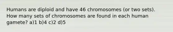 Humans are diploid and have 46 chromosomes (or two sets). How many sets of chromosomes are found in each human gamete? a)1 b)4 c)2 d)5