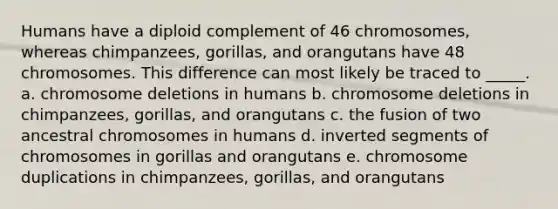 Humans have a diploid complement of 46 chromosomes, whereas chimpanzees, gorillas, and orangutans have 48 chromosomes. This difference can most likely be traced to _____. a. chromosome deletions in humans b. chromosome deletions in chimpanzees, gorillas, and orangutans c. the fusion of two ancestral chromosomes in humans d. inverted segments of chromosomes in gorillas and orangutans e. chromosome duplications in chimpanzees, gorillas, and orangutans