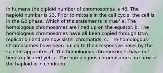 In humans the diploid number of chromosomes is 46. The haploid number is 23. Prior to mitosis in the cell cycle, the cell is in the G2 phase. Which of the statements is true? a. The homologous chromosomes are lined up on the equator. b. The homologous chromosomes have all been copied through DNA replication and are now sister chromatids. c. The homologous chromosomes have been pulled to their respective poles by the spindle apparatus. d. The homologous chromosomes have not been replicated yet. e. The homologous chromosomes are now in the haploid or n condition.