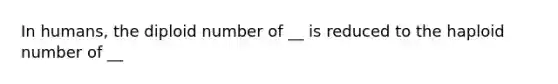 In humans, the diploid number of __ is reduced to the haploid number of __