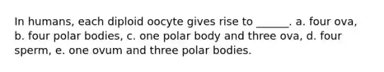 In humans, each diploid oocyte gives rise to ______. a. four ova, b. four polar bodies, c. one polar body and three ova, d. four sperm, e. one ovum and three polar bodies.