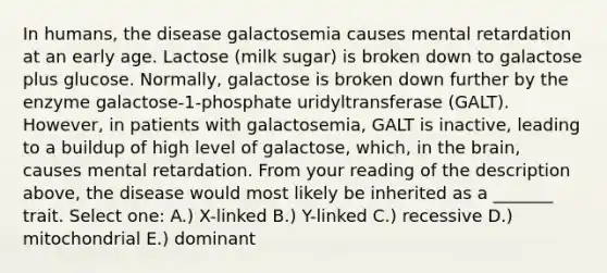 In humans, the disease galactosemia causes mental retardation at an early age. Lactose (milk sugar) is broken down to galactose plus glucose. Normally, galactose is broken down further by the enzyme galactose-1-phosphate uridyltransferase (GALT). However, in patients with galactosemia, GALT is inactive, leading to a buildup of high level of galactose, which, in the brain, causes mental retardation. From your reading of the description above, the disease would most likely be inherited as a _______ trait. Select one: A.) X-linked B.) Y-linked C.) recessive D.) mitochondrial E.) dominant