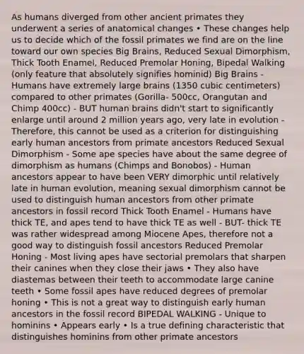 As humans diverged from other ancient primates they underwent a series of anatomical changes • These changes help us to decide which of the fossil primates we find are on the line toward our own species Big Brains, Reduced Sexual Dimorphism, Thick Tooth Enamel, Reduced Premolar Honing, Bipedal Walking (only feature that absolutely signifies hominid) Big Brains - Humans have extremely large brains (1350 cubic centimeters) compared to other primates (Gorilla- 500cc, Orangutan and Chimp 400cc) - BUT human brains didn't start to significantly enlarge until around 2 million years ago, very late in evolution - Therefore, this cannot be used as a criterion for distinguishing early human ancestors from primate ancestors Reduced Sexual Dimorphism - Some ape species have about the same degree of dimorphism as humans (Chimps and Bonobos) - Human ancestors appear to have been VERY dimorphic until relatively late in human evolution, meaning sexual dimorphism cannot be used to distinguish human ancestors from other primate ancestors in fossil record Thick Tooth Enamel - Humans have thick TE, and apes tend to have thick TE as well - BUT- thick TE was rather widespread among Miocene Apes, therefore not a good way to distinguish fossil ancestors Reduced Premolar Honing - Most living apes have sectorial premolars that sharpen their canines when they close their jaws • They also have diastemas between their teeth to accommodate large canine teeth • Some fossil apes have reduced degrees of premolar honing • This is not a great way to distinguish early human ancestors in the fossil record BIPEDAL WALKING - Unique to hominins • Appears early • Is a true defining characteristic that distinguishes hominins from other primate ancestors