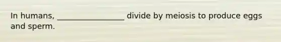 In humans, _________________ divide by meiosis to produce eggs and sperm.