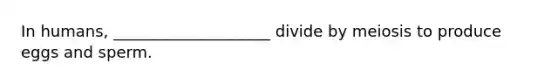 In humans, ____________________ divide by meiosis to produce eggs and sperm.