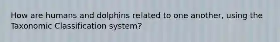 How are humans and dolphins related to one another, using the Taxonomic Classification system?