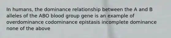 In humans, the dominance relationship between the A and B alleles of the ABO blood group gene is an example of overdominance codominance epistasis incomplete dominance none of the above