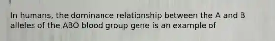 In humans, the dominance relationship between the A and B alleles of the ABO blood group gene is an example of