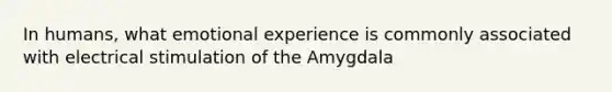 In humans, what emotional experience is commonly associated with electrical stimulation of the Amygdala