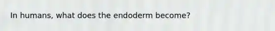 In humans, what does the endoderm become?