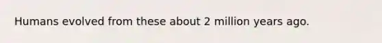 Humans evolved from these about 2 million years ago.
