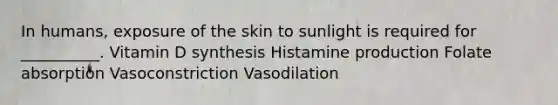 In humans, exposure of the skin to sunlight is required for __________. Vitamin D synthesis Histamine production Folate absorption Vasoconstriction Vasodilation