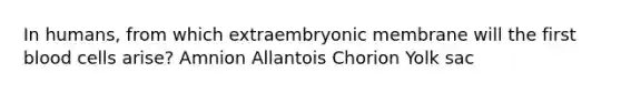 In humans, from which extraembryonic membrane will the first blood cells arise? Amnion Allantois Chorion Yolk sac