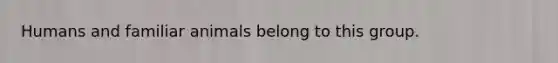 Humans and familiar animals belong to this group.