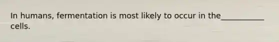 In humans, fermentation is most likely to occur in the___________ cells.
