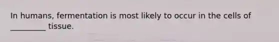 In humans, fermentation is most likely to occur in the cells of _________ tissue.