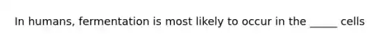 In humans, fermentation is most likely to occur in the _____ cells