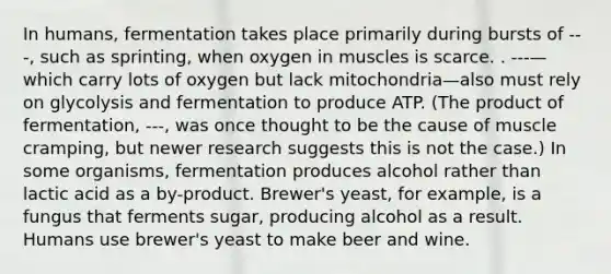 In humans, fermentation takes place primarily during bursts of ---, such as sprinting, when oxygen in muscles is scarce. . ---—which carry lots of oxygen but lack mitochondria—also must rely on glycolysis and fermentation to produce ATP. (The product of fermentation, ---, was once thought to be the cause of muscle cramping, but newer research suggests this is not the case.) In some organisms, fermentation produces alcohol rather than lactic acid as a by-product. Brewer's yeast, for example, is a fungus that ferments sugar, producing alcohol as a result. Humans use brewer's yeast to make beer and wine.