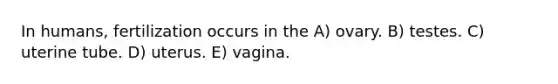 In humans, fertilization occurs in the A) ovary. B) testes. C) uterine tube. D) uterus. E) vagina.