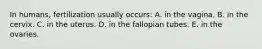 In humans, fertilization usually occurs: A. in the vagina. B. in the cervix. C. in the uterus. D. in the fallopian tubes. E. in the ovaries.