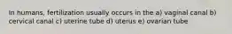 In humans, fertilization usually occurs in the a) vaginal canal b) cervical canal c) uterine tube d) uterus e) ovarian tube