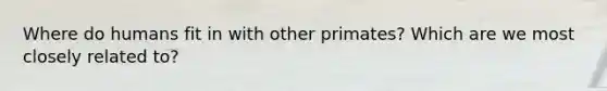 Where do humans fit in with other primates? Which are we most closely related to?
