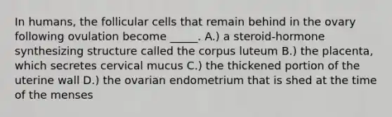 In humans, the follicular cells that remain behind in the ovary following ovulation become _____. A.) a steroid-hormone synthesizing structure called the corpus luteum B.) the placenta, which secretes cervical mucus C.) the thickened portion of the uterine wall D.) the ovarian endometrium that is shed at the time of the menses