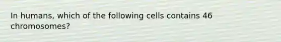 In humans, which of the following cells contains 46 chromosomes?