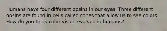 Humans have four different opsins in our eyes. Three different opsins are found in cells called cones that allow us to see colors. How do you think color vision evolved in humans?