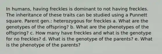 In humans, having freckles is dominant to not having freckles. The inheritance of these traits can be studied using a Punnett square. Parent gen.: heterozygous for freckles a. What are the genotypes of the offspring? b. What are the phenotypes of the offspring? c. How many have freckles and what is the genotype for no freckles? d. What is the genotype of the parents? e. What is the phenotype of the parents?