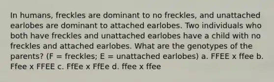 In humans, freckles are dominant to no freckles, and unattached earlobes are dominant to attached earlobes. Two individuals who both have freckles and unattached earlobes have a child with no freckles and attached earlobes. What are the genotypes of the parents? (F = freckles; E = unattached earlobes) a. FFEE x ffee b. Ffee x FFEE c. FfEe x FfEe d. ffee x ffee