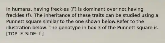 In humans, having freckles (F) is dominant over not having freckles (f). The inheritance of these traits can be studied using a Punnett square similar to the one shown below.Refer to the illustration below. The genotype in box 3 of the Punnett square is [TOP: F. SIDE: f.]