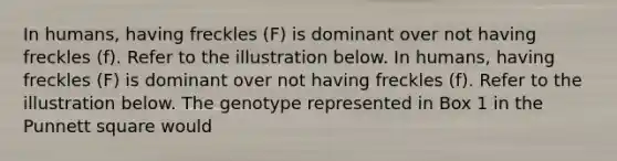 In humans, having freckles (F) is dominant over not having freckles (f). Refer to the illustration below. In humans, having freckles (F) is dominant over not having freckles (f). Refer to the illustration below. The genotype represented in Box 1 in the Punnett square would