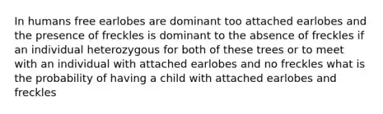 In humans free earlobes are dominant too attached earlobes and the presence of freckles is dominant to the absence of freckles if an individual heterozygous for both of these trees or to meet with an individual with attached earlobes and no freckles what is the probability of having a child with attached earlobes and freckles