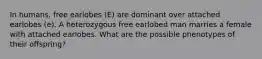 In humans, free earlobes (E) are dominant over attached earlobes (e). A heterozygous free earlobed man marries a female with attached earlobes. What are the possible phenotypes of their offspring?