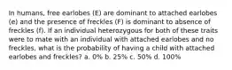 In humans, free earlobes (E) are dominant to attached earlobes (e) and the presence of freckles (F) is dominant to absence of freckles (f). If an individual heterozygous for both of these traits were to mate with an individual with attached earlobes and no freckles, what is the probability of having a child with attached earlobes and freckles? a. 0% b. 25% c. 50% d. 100%