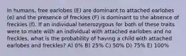 In humans, free earlobes (E) are dominant to attached earlobes (e) and the presence of freckles (F) is dominant to the absence of freckles (f). If an individual heterozygous for both of these traits were to mate with an individual with attached earlobes and no freckles, what is the probability of having a child with attached earlobes and freckles? A) 0% B) 25% C) 50% D) 75% E) 100%