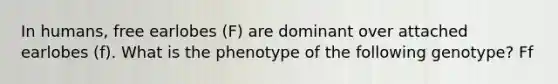 In humans, free earlobes (F) are dominant over attached earlobes (f). What is the phenotype of the following genotype? Ff