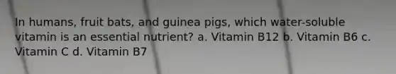 In humans, fruit bats, and guinea pigs, which water-soluble vitamin is an essential nutrient? a. Vitamin B12 b. Vitamin B6 c. Vitamin C d. Vitamin B7