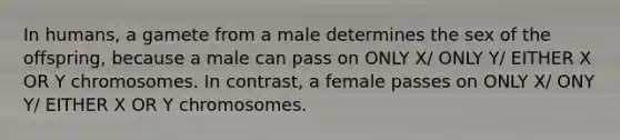 In humans, a gamete from a male determines the sex of the offspring, because a male can pass on ONLY X/ ONLY Y/ EITHER X OR Y chromosomes. In contrast, a female passes on ONLY X/ ONY Y/ EITHER X OR Y chromosomes.