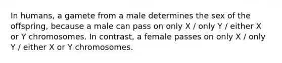 In humans, a gamete from a male determines the sex of the offspring, because a male can pass on only X / only Y / either X or Y chromosomes. In contrast, a female passes on only X / only Y / either X or Y chromosomes.