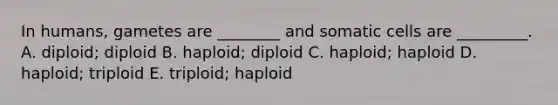 In humans, gametes are ________ and somatic cells are _________. A. diploid; diploid B. haploid; diploid C. haploid; haploid D. haploid; triploid E. triploid; haploid